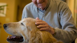 pet_therapy_anziani_petlocal.eu