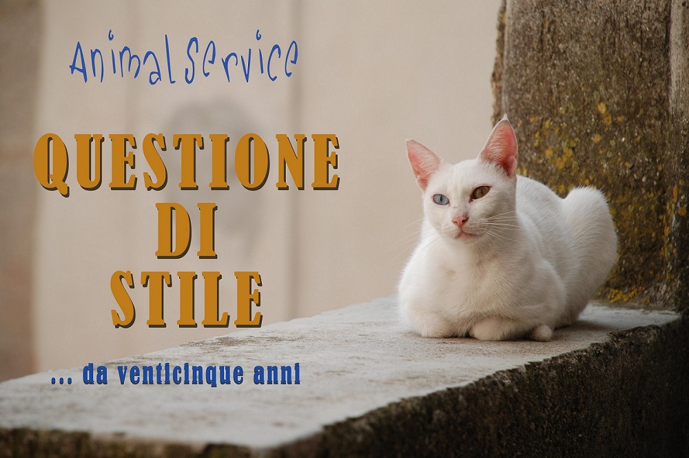 Animal Service Pet Shop a Balerna - PetLocal.eu_3