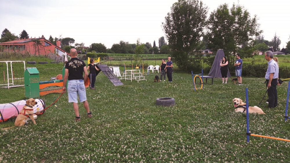 Addestratori CIAC ASD a Carnago - PetLocal.eu_1