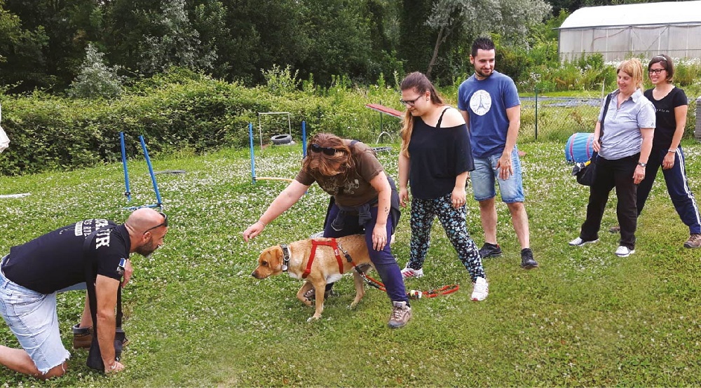 Addestratori CIAC ASD a Carnago - PetLocal.eu_1