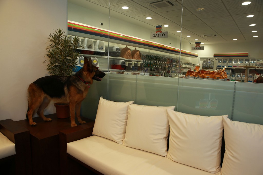 Clinica Veterinaria MyPetClinic a Gallarate - PetLocal.eu_1