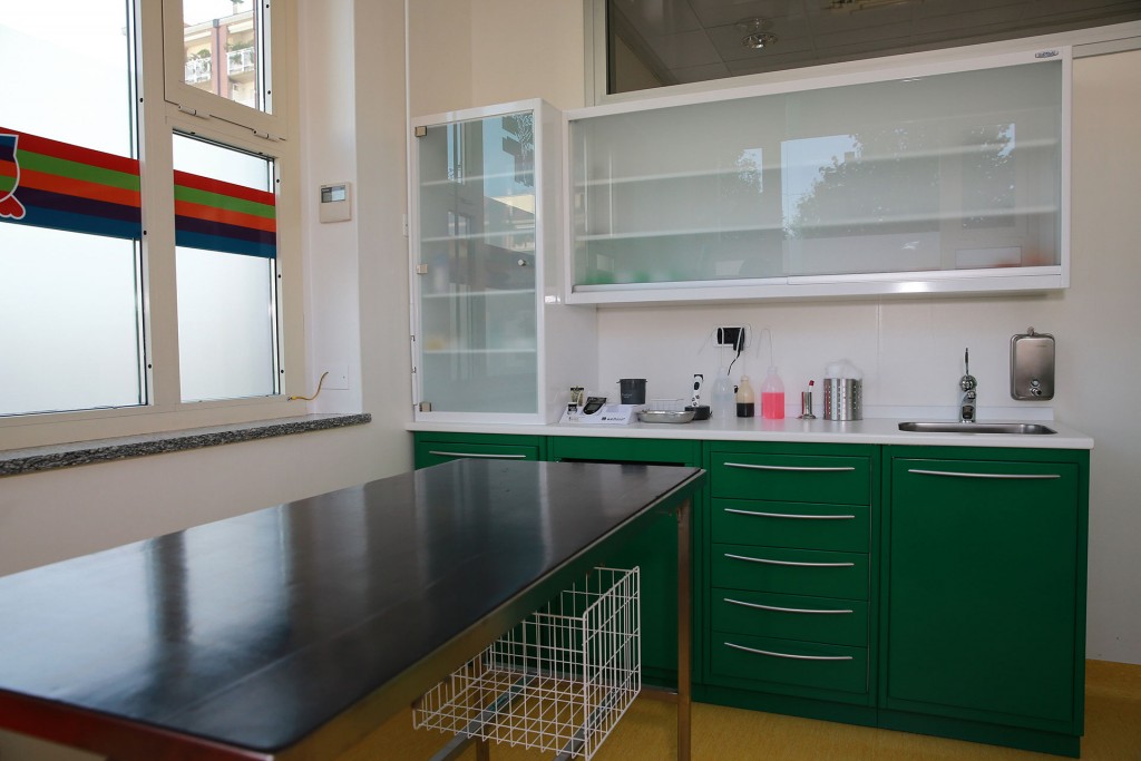 Clinica Veterinaria MyPetClinic a Gallarate - PetLocal.eu_1