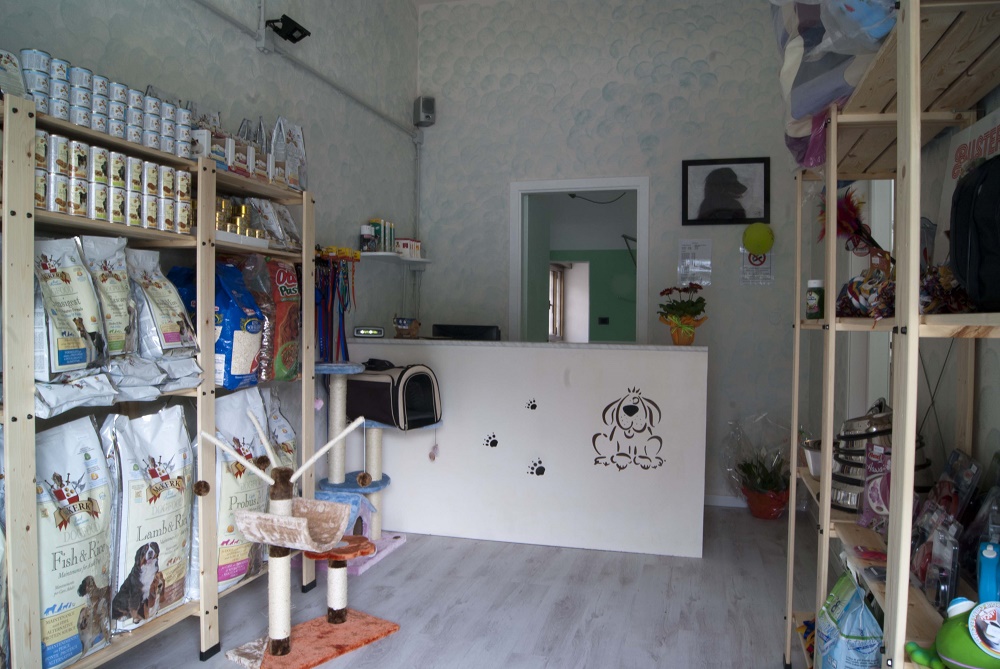 Toelettatura Bello E Pulito a Olgiate Olona - PetLocal.eu