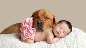 Animali domestici e bambini convivenza possibile in casa - Petlocalblog