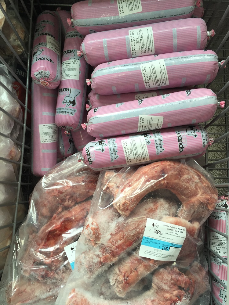 ombra animale toelettatura cani e gatti a Balerna - PetLocal.eu