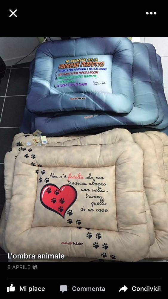 ombra animale toelettatura cani e gatti a Balerna - PetLocal.eu